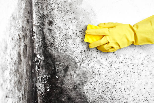 Water Damage Restoration in Shelburne Falls, MA