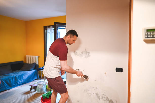 Best Water Damage Restoration  in Shelburne Falls, MA